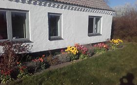 Lindholt
